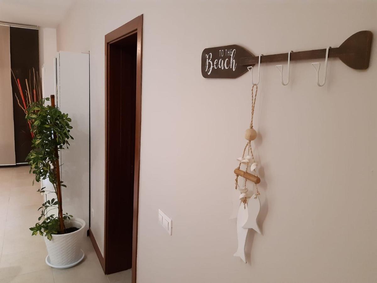 Arena Apartment