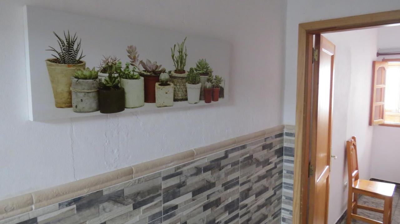 Frente Al Mar Apartamento