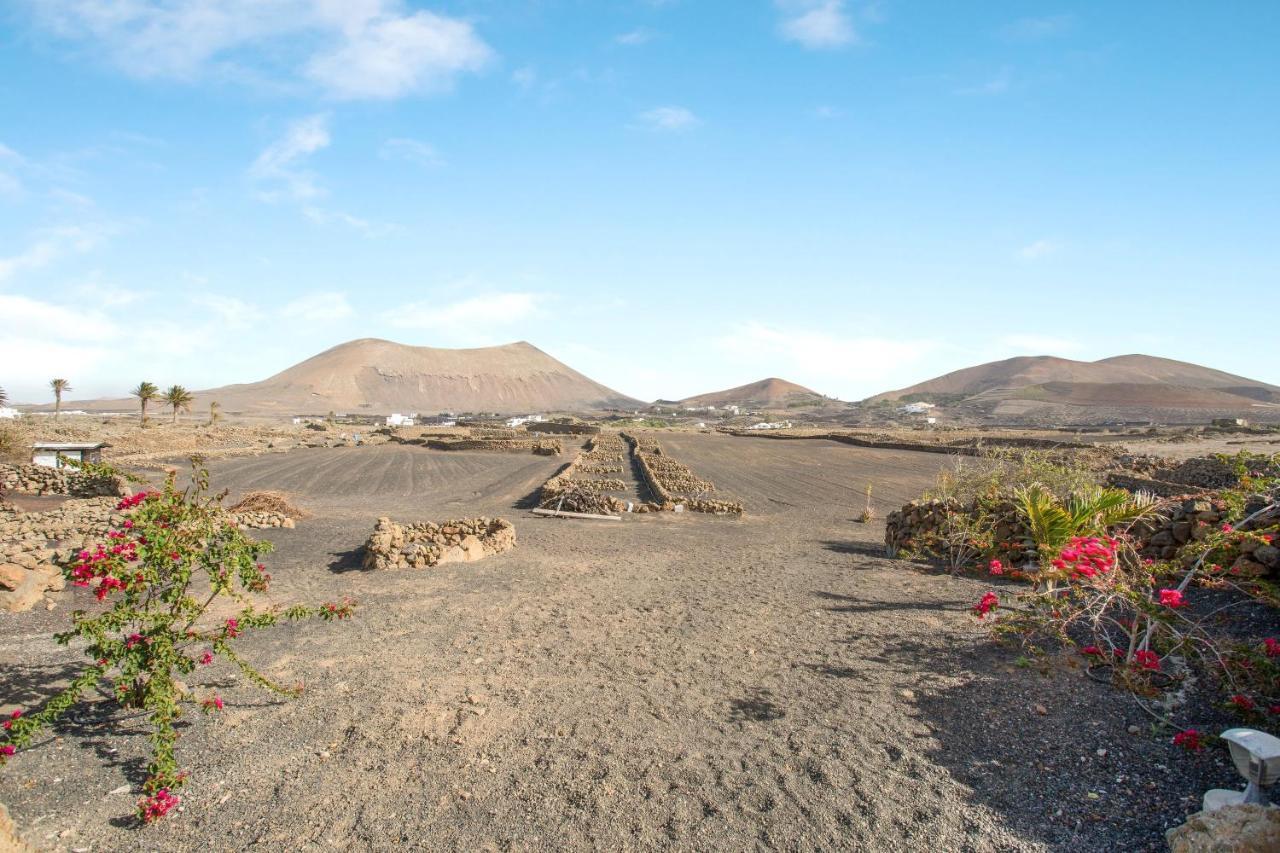 Estudio Pu La Vegueta