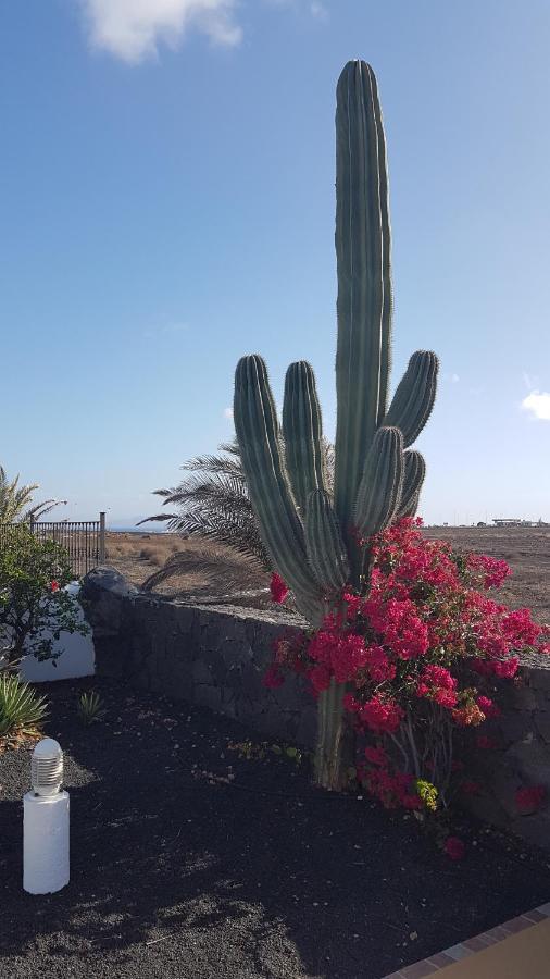 Roma Lanzarote