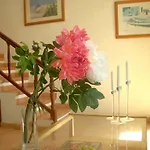 Absolute Beachfront House II