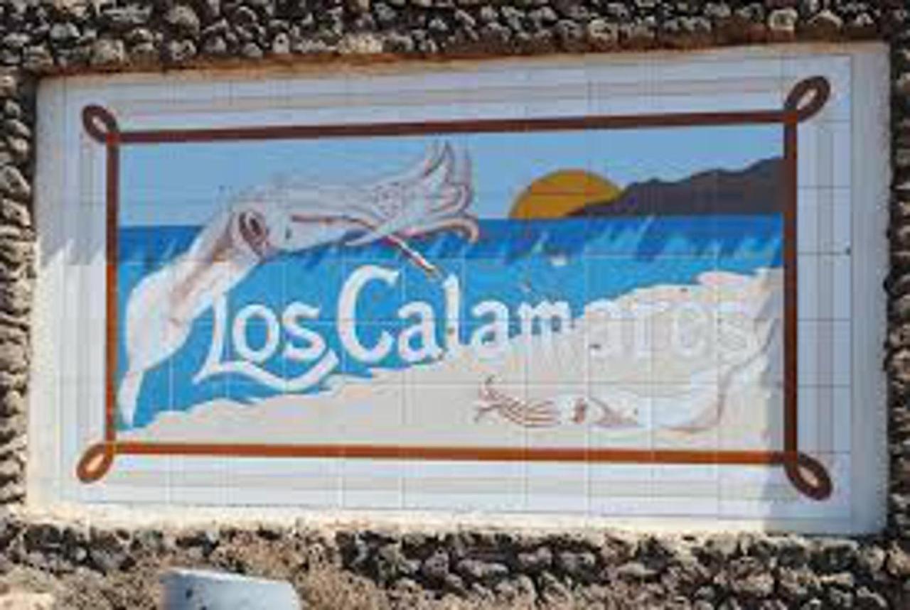 Apartamento Basement Very Large Fantastic Location *