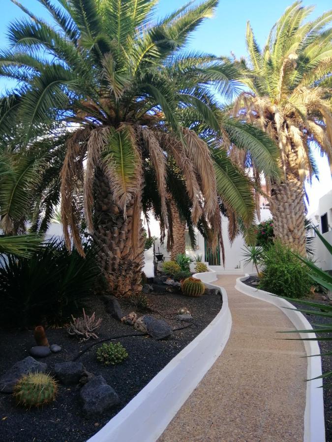 Te Miti Puerto del Carmen (Lanzarote)