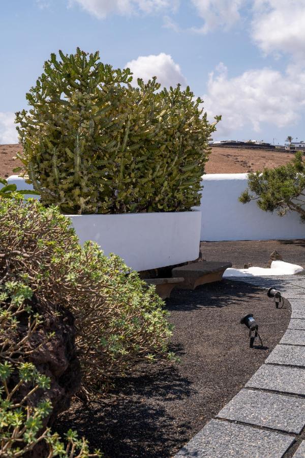 Pergolas Rural *