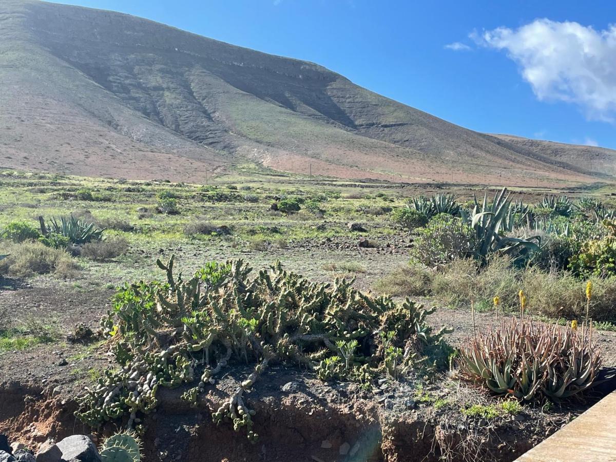 Casa Famara Holiday home Teguise (Lanzarote)