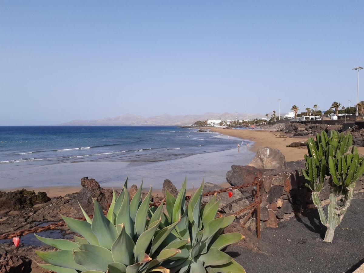 Tabaibas Puerto del Carmen (Lanzarote)
