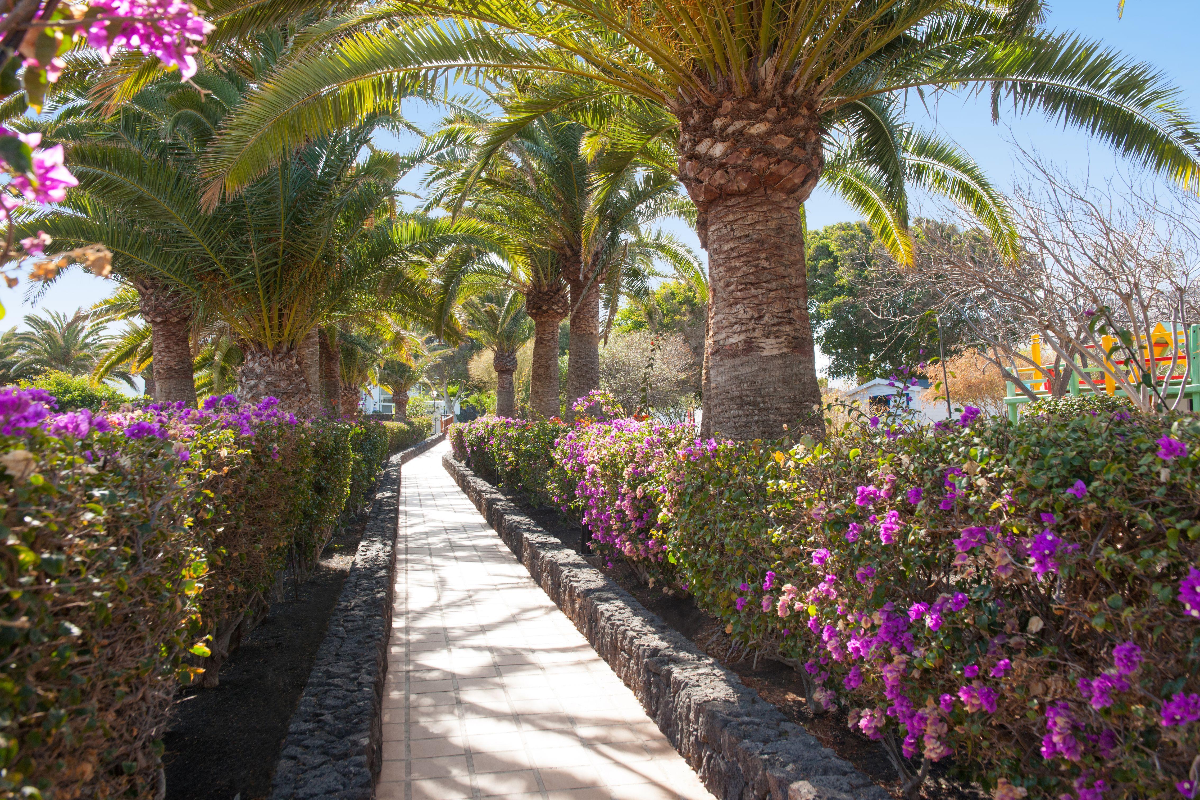 Relaxia Olivina Hotel