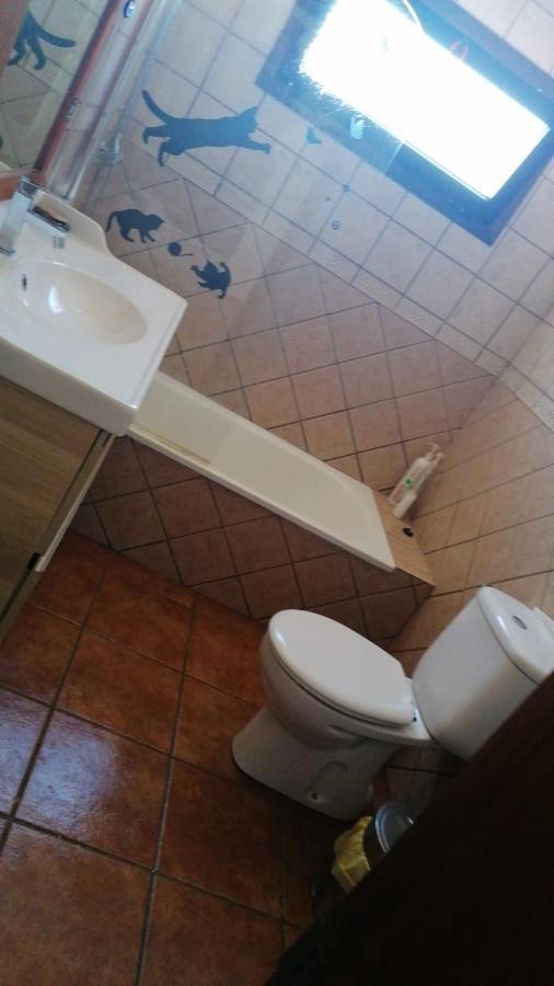 Lanzate Homestay Tinajo