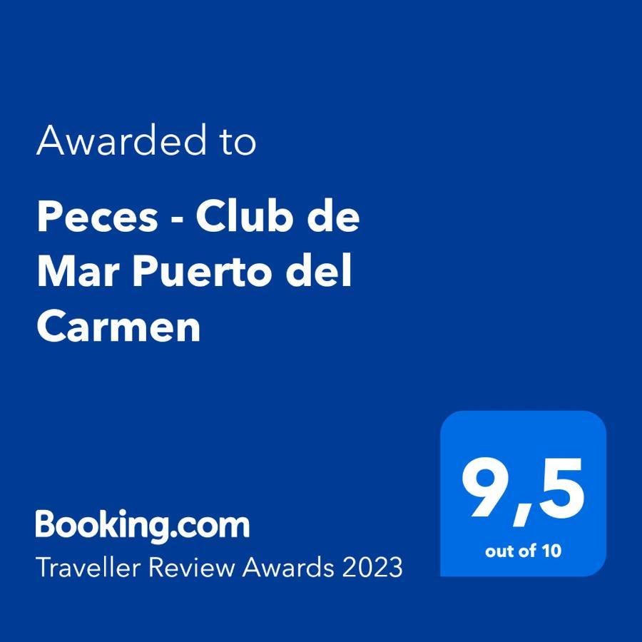 Peces - Club De Mar Puerto Del Carmen * Puerto del Carmen (Lanzarote)