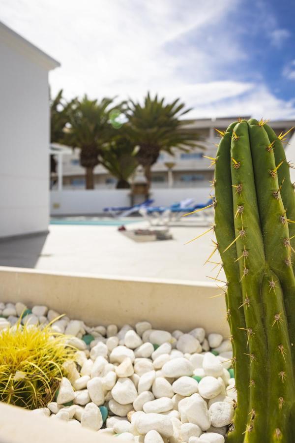 Nico By Escapehome * Puerto del Carmen (Lanzarote)