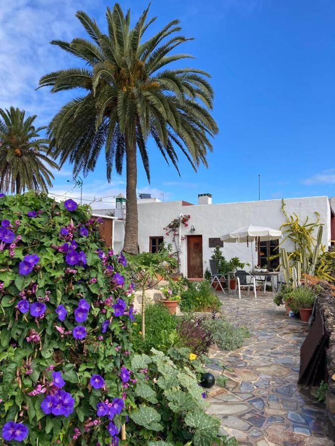 Apartamento Pirul
