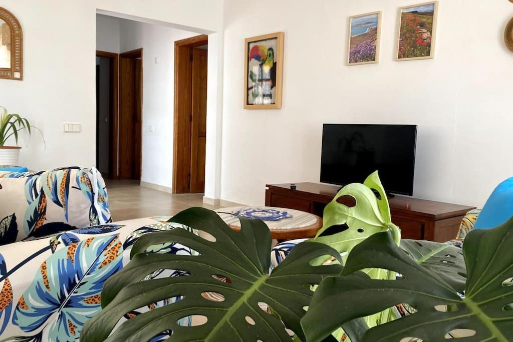 Casa Chinchorro *