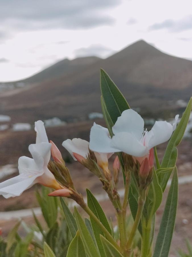 La Morreta Ii - Lanzarote Tías