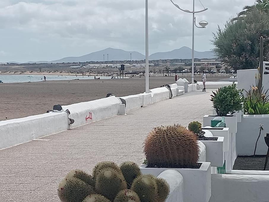 Sol Y Terraza