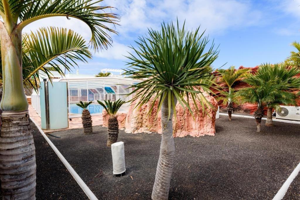 Lanzarote Olive Playa Blanca (Lanzarote)