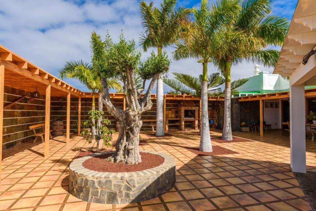Villa Lanzarote Olive