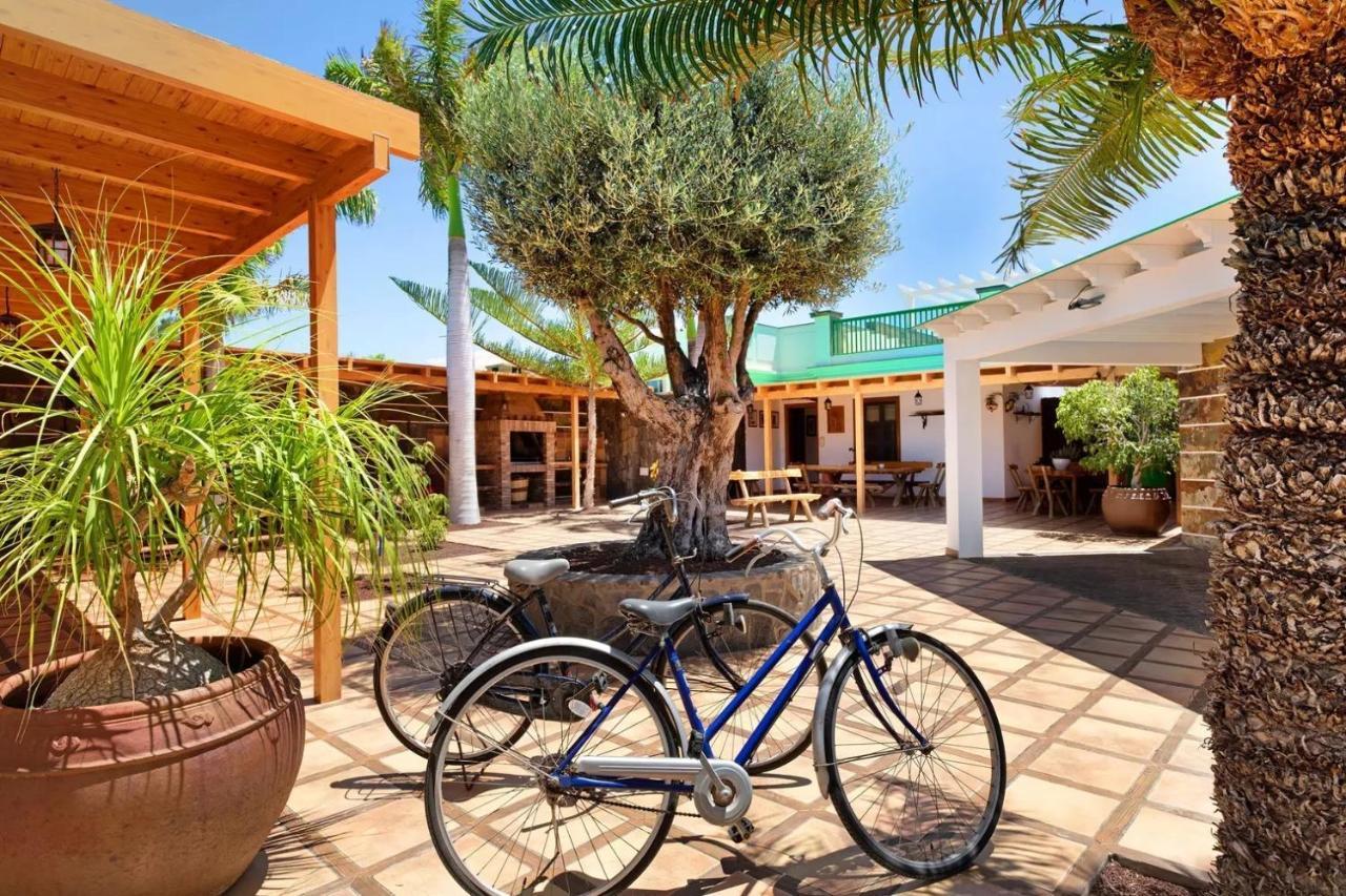 Villa Lanzarote Olive