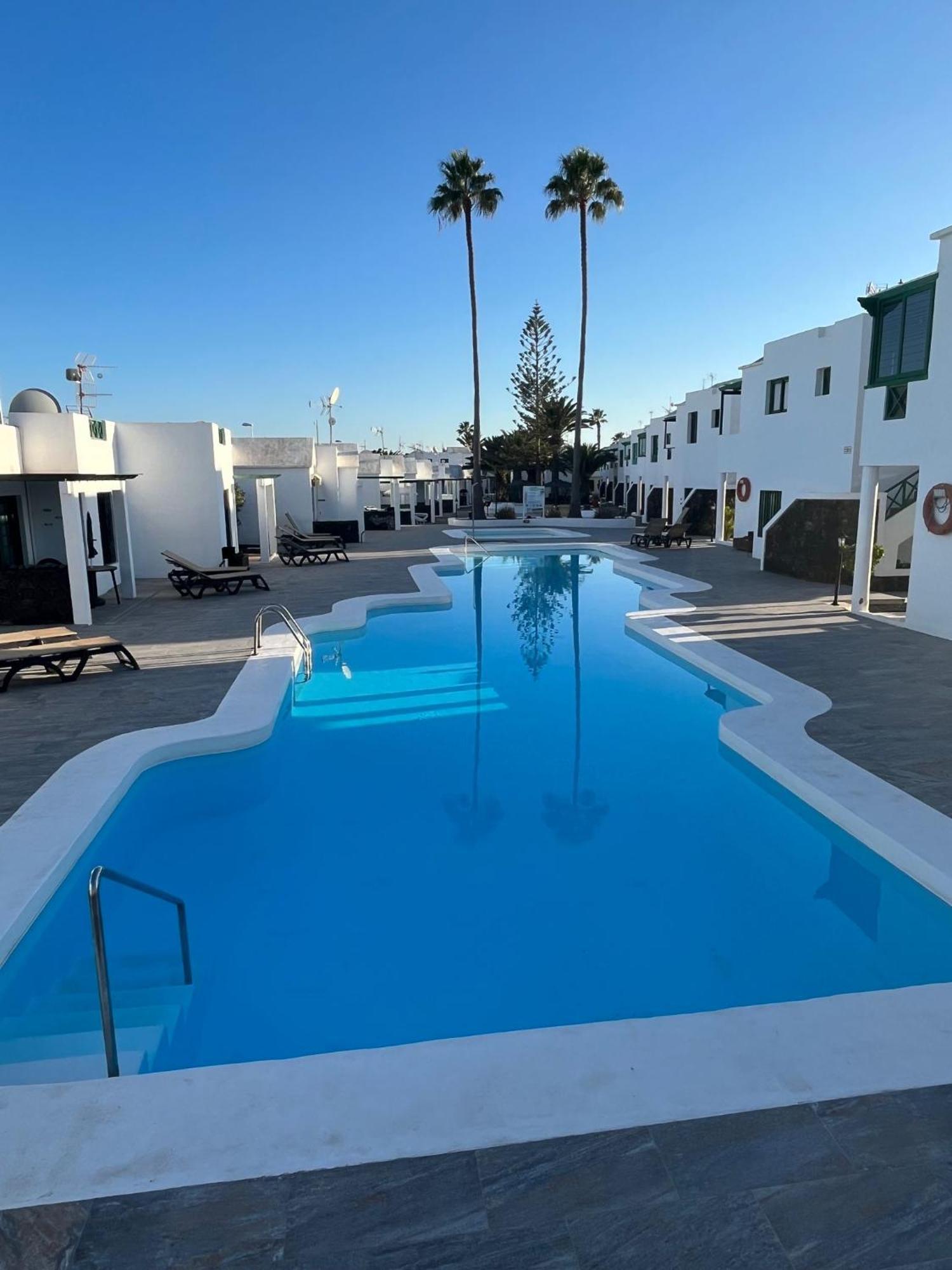 Lanza Palm Puerto del Carmen (Lanzarote)