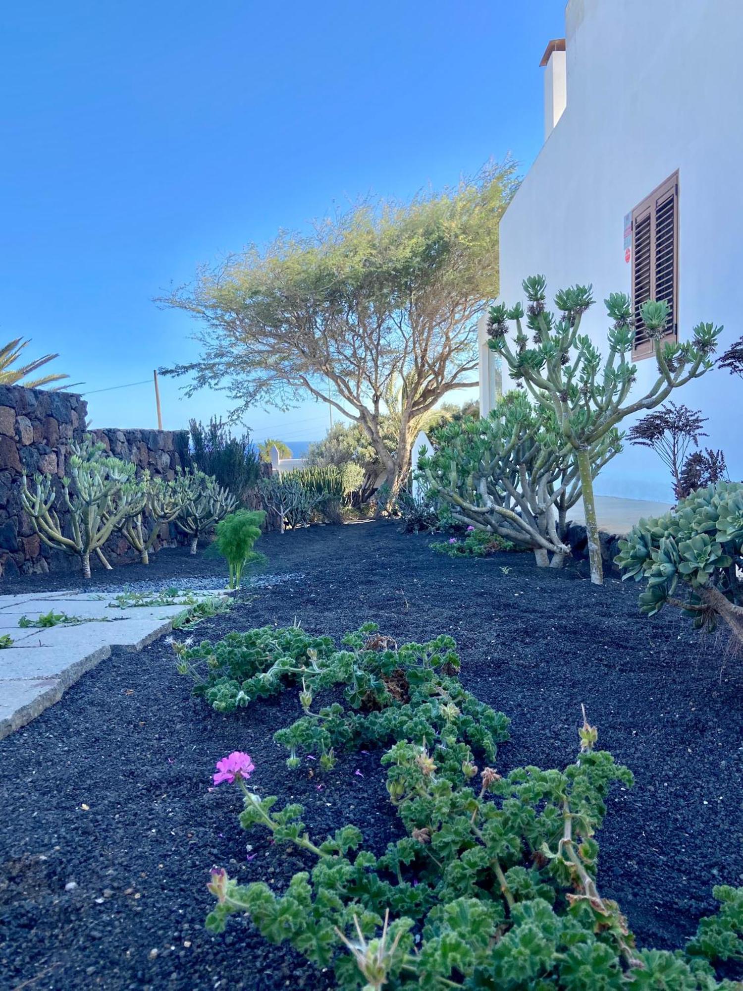 Apartamento Casa Kira,