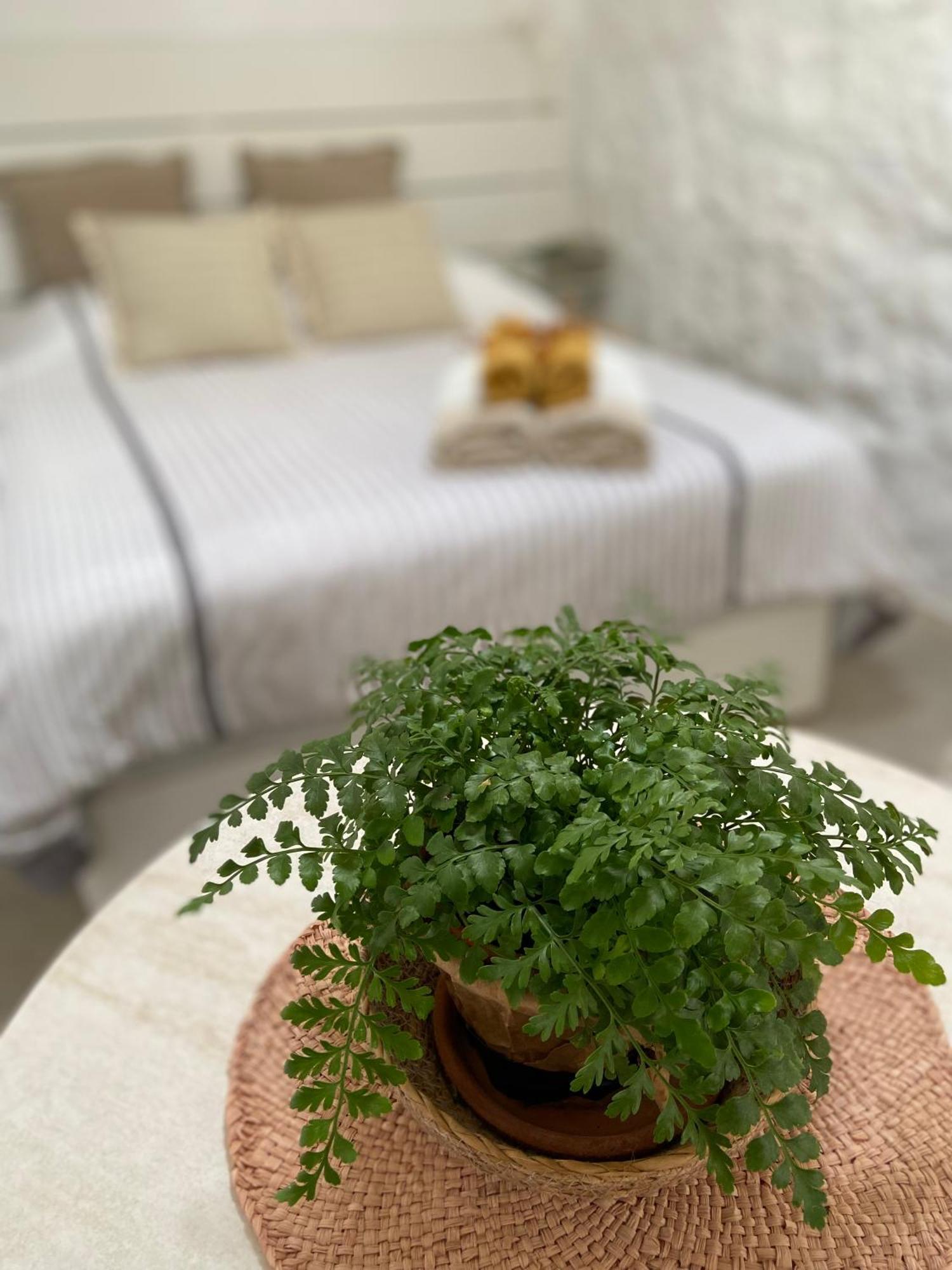 Apartamento Casa Kira, *