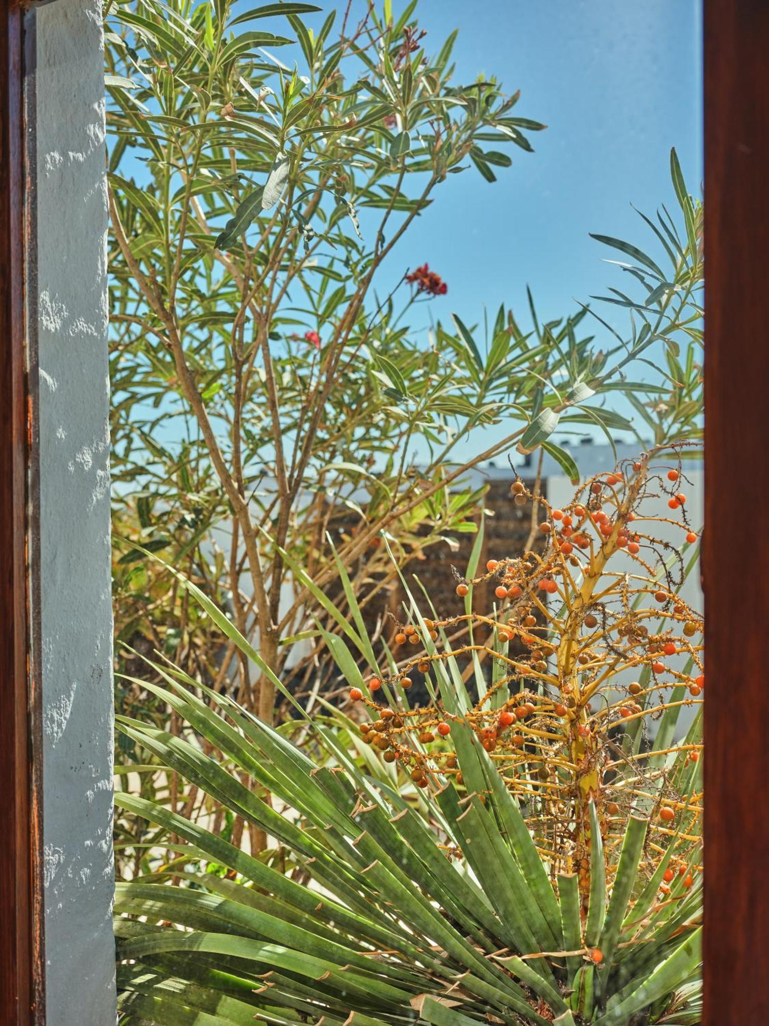 Villa Playa Marina Eco *