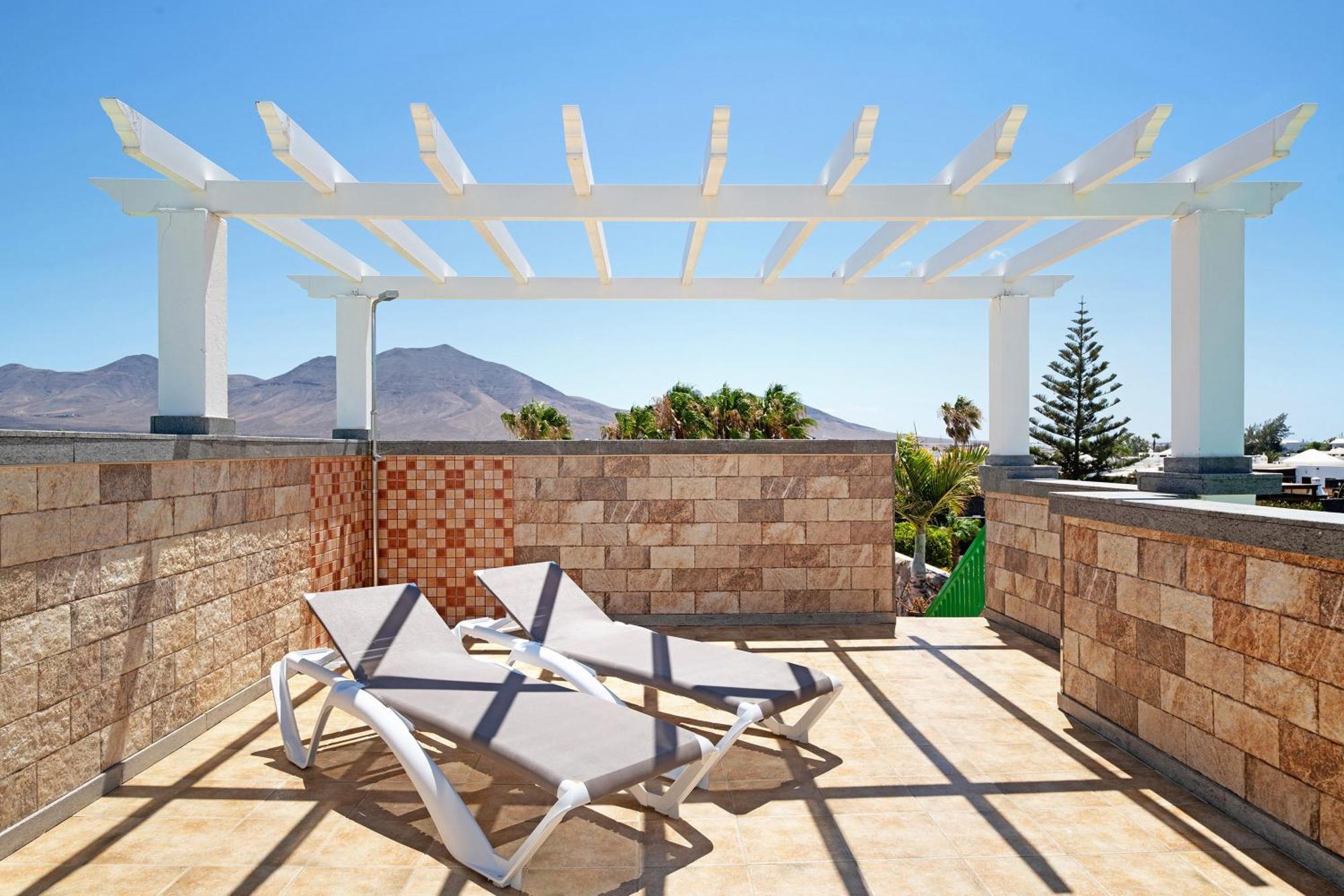 Olive Playa Blanca (Lanzarote)
