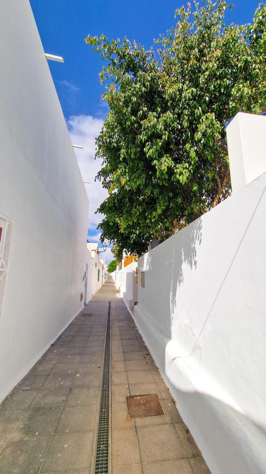Two-bedroom With Two Large Terraces *