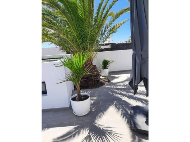 Apartamento In Playa Blanca *