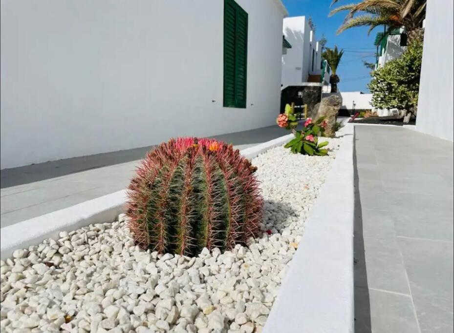 Refugio Del Caracol Apartamento Puerto del Carmen (Lanzarote)