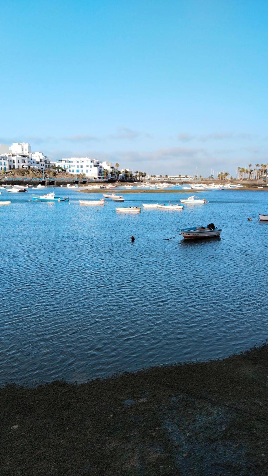Flat In - Perfect Location Apartment Arrecife (Lanzarote)