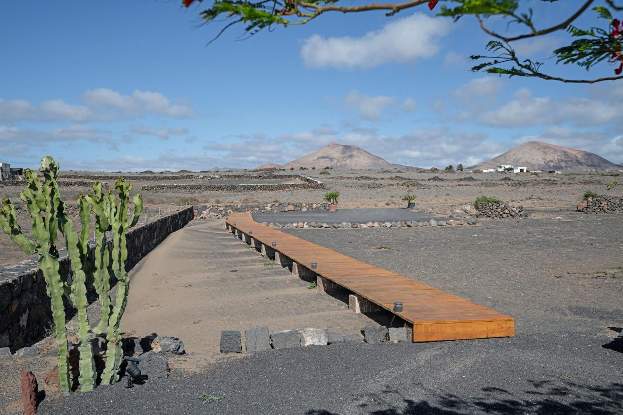 Pitaya * Arrecife (Lanzarote)