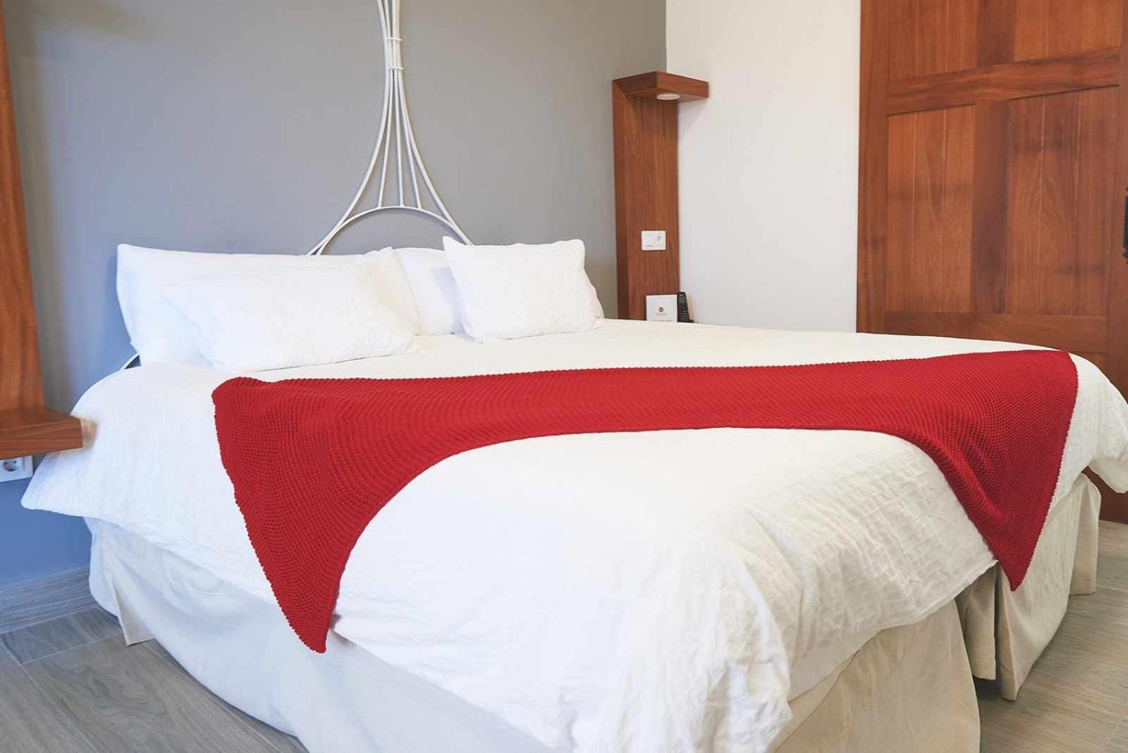 Aparthotel Delmas Emblematico