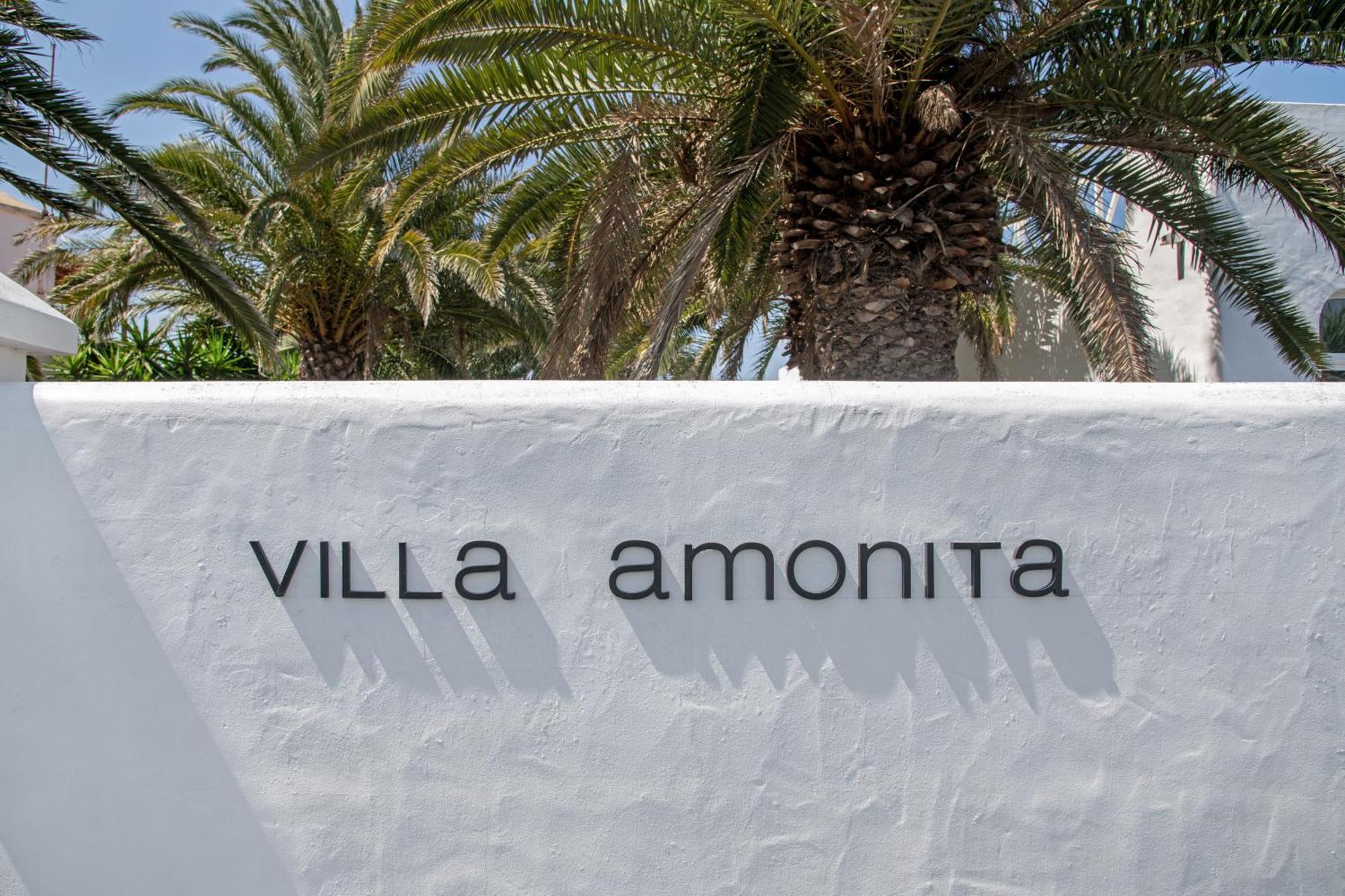 Amonita