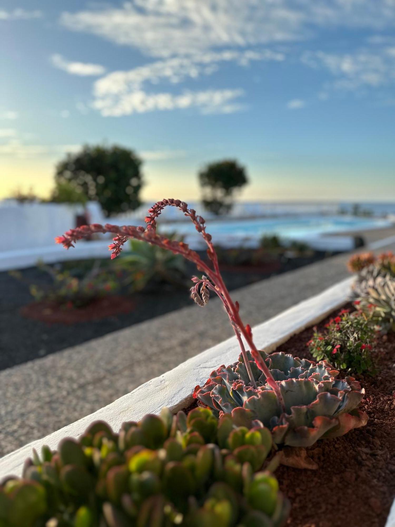 Juwel Des Meeres Nudist Place Fkk Complejo Nudista - - Apartment Charco del Palo