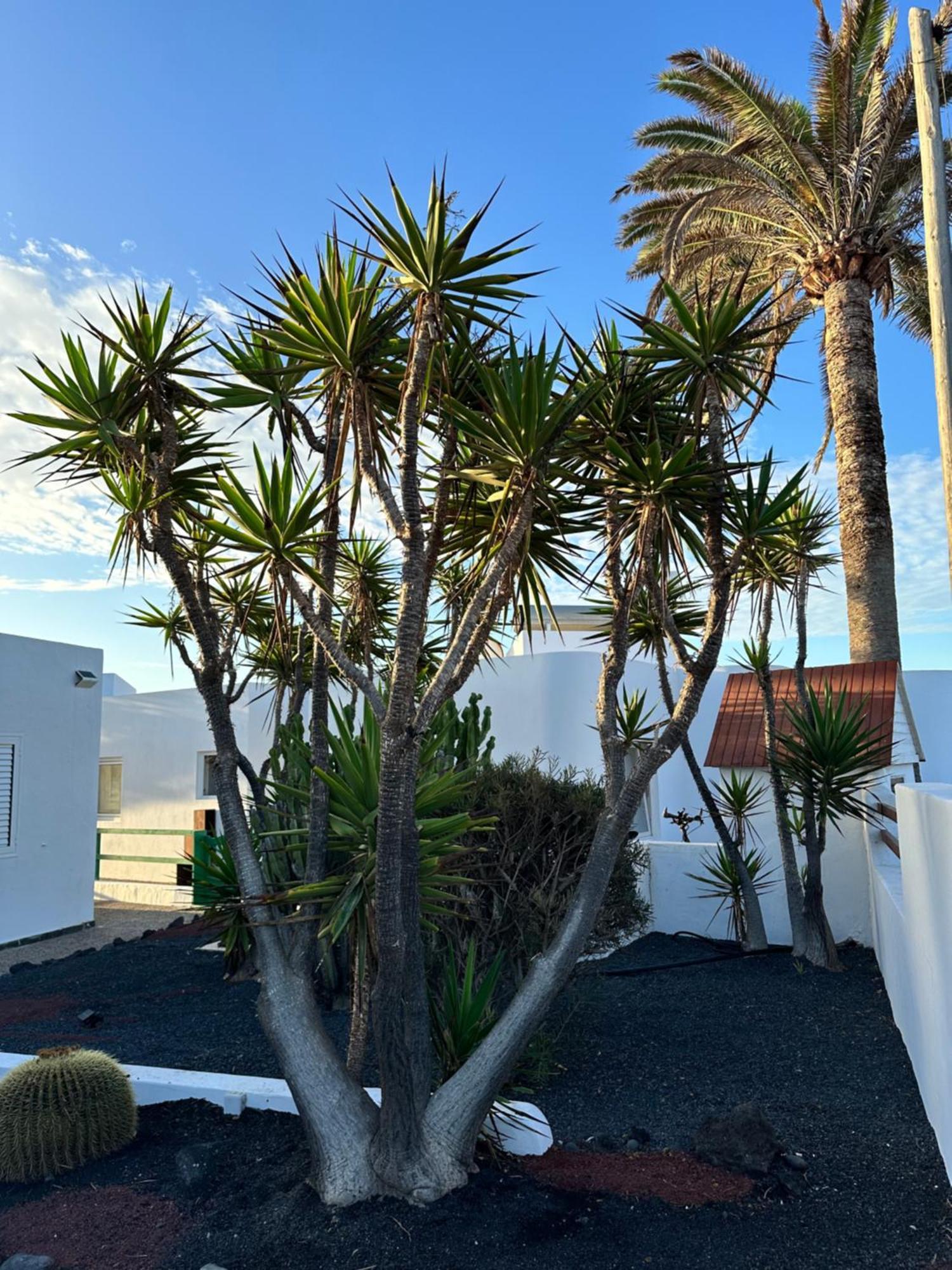 Apartment Juwel Des Meeres Nudist Place Fkk Complejo Nudista - - *