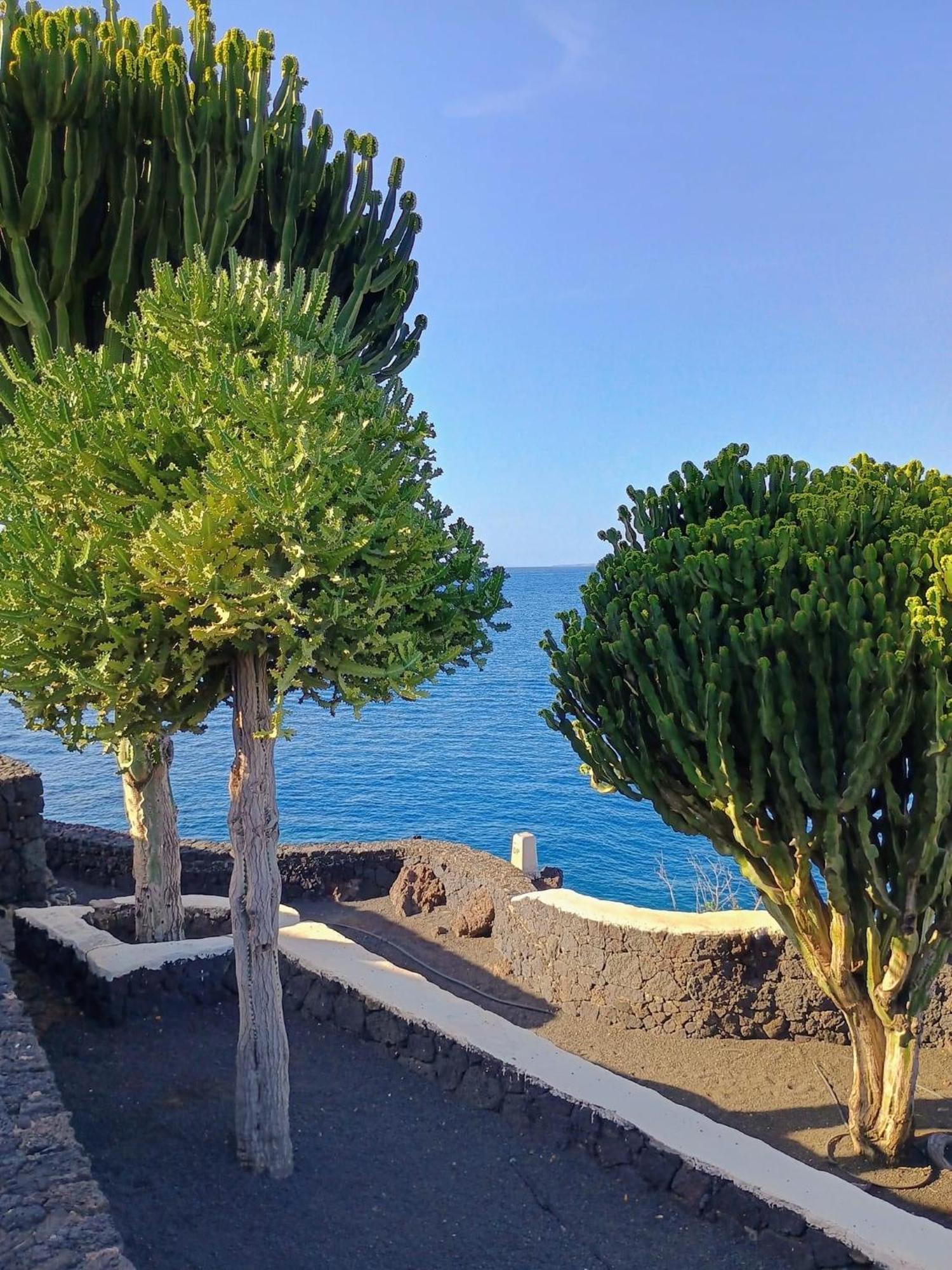 Thiago Holiday home *