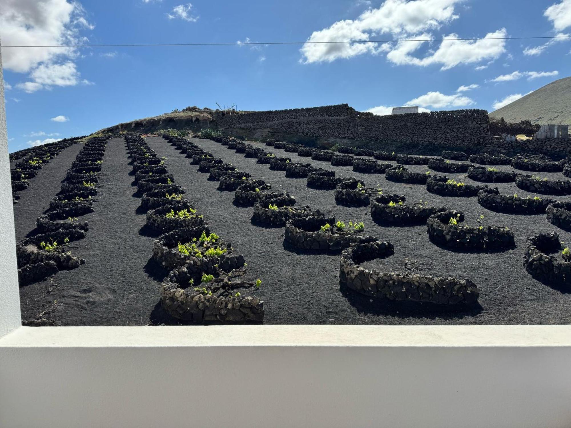 Сasa de vacaciones Vineyard House *