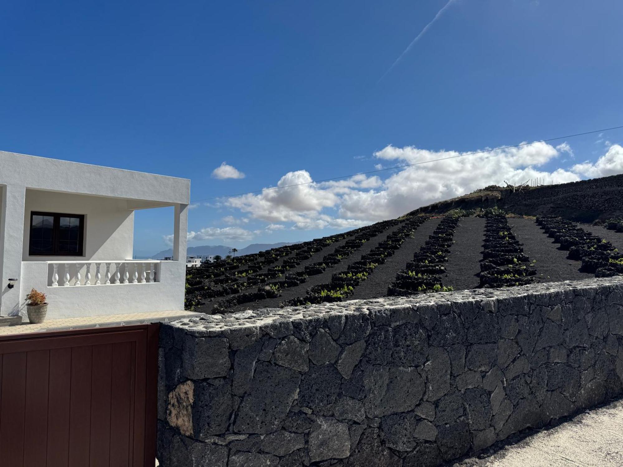 Vineyard House *