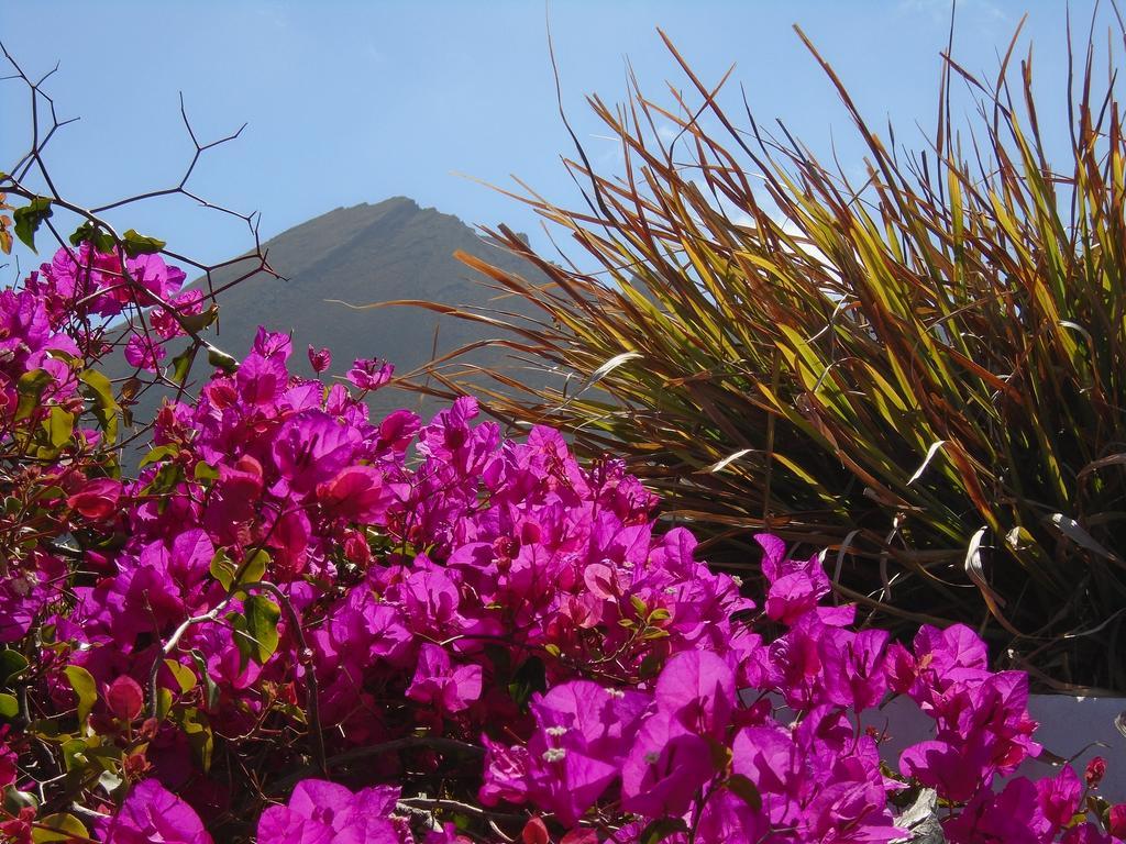 El Cortijo Eco Finca