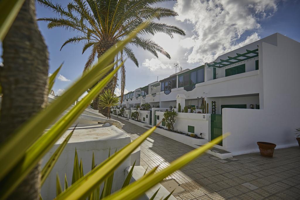 Palmeras Puerto Del Carmen