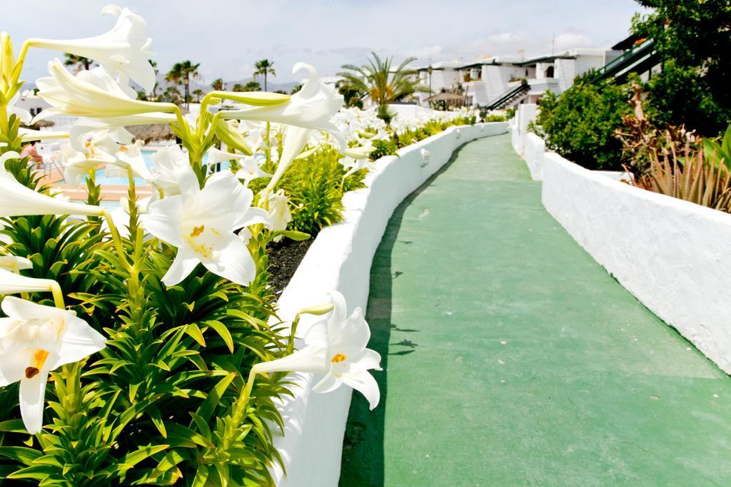 Apartamento Calle Las Majadas Puerto del Carmen (Lanzarote)