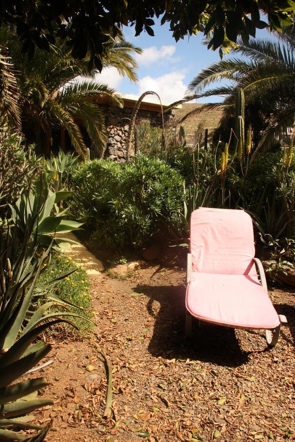 Casa rural Palmeras Canarias *