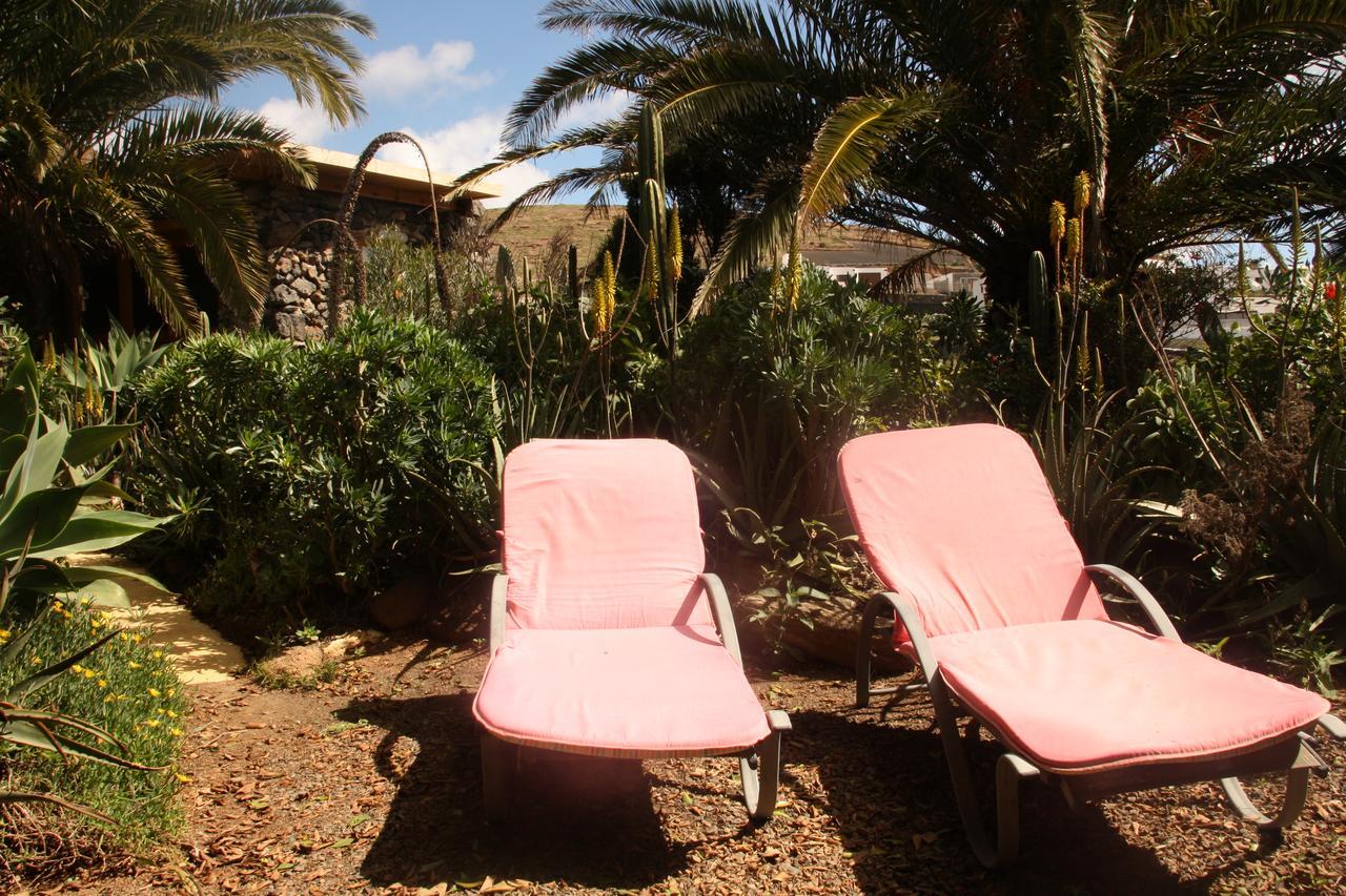 Palmeras Canarias Casa rural