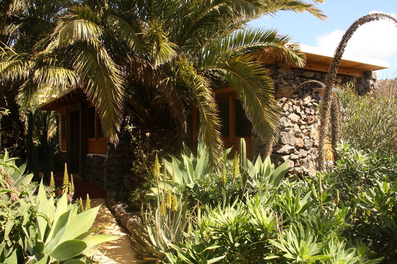 Palmeras Canarias Uga