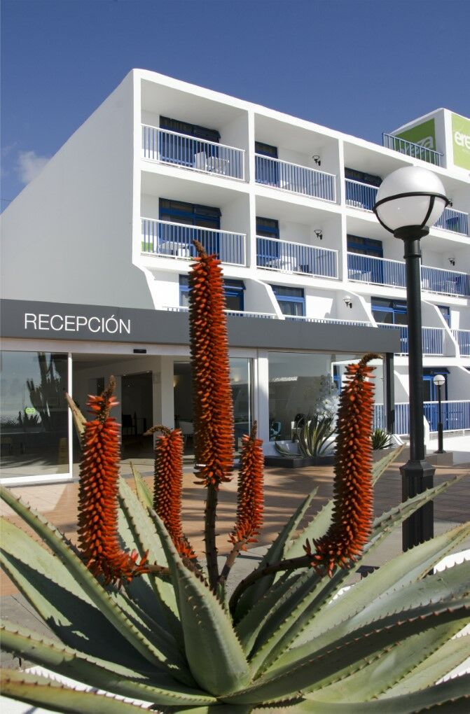 Ereza Los Hibiscos Apartment *