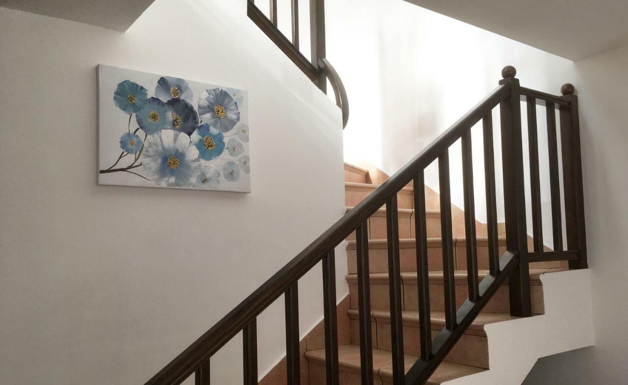 Casa Paloma