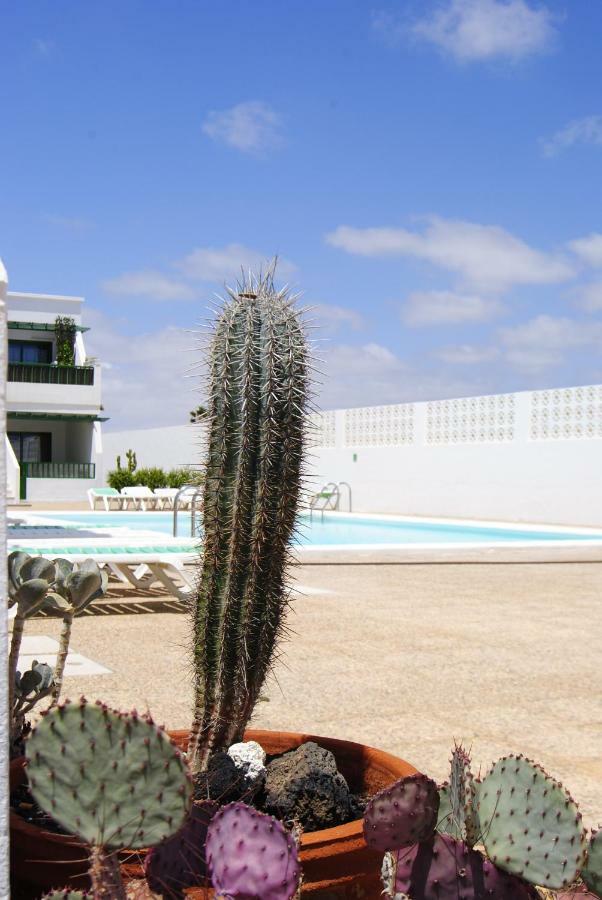 Apartamento Magmamia