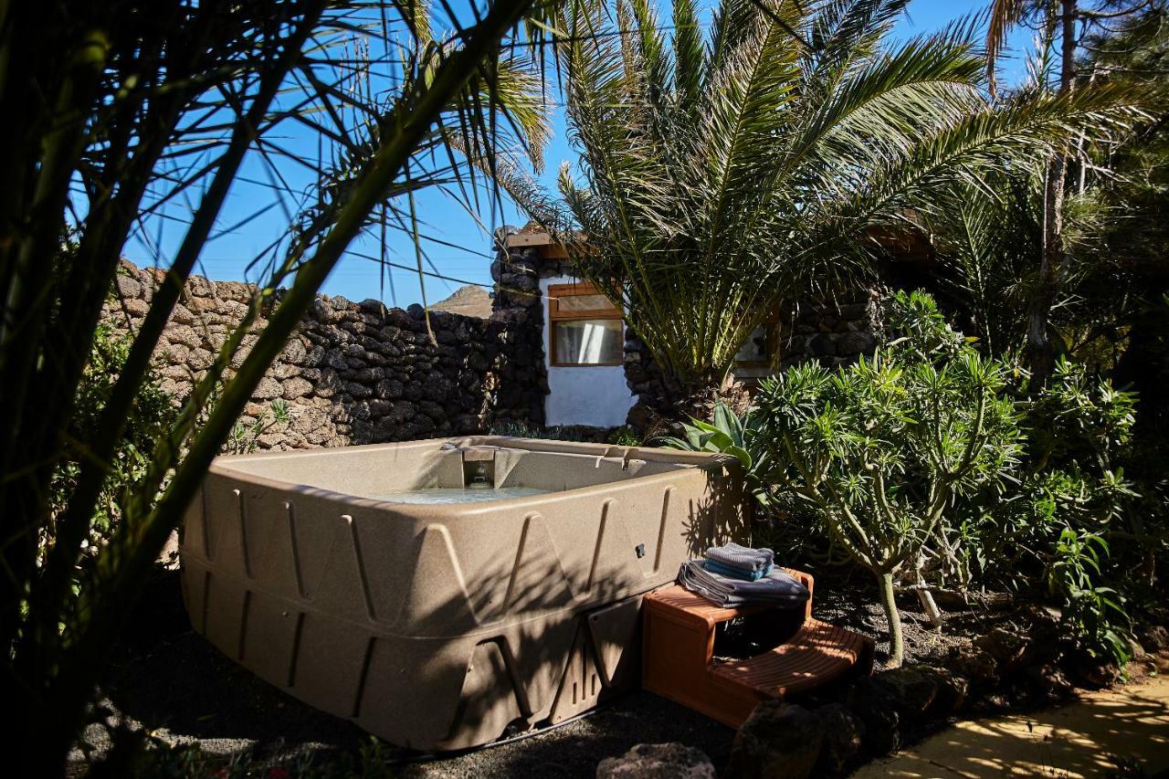Palmeras Canarias Casa rural Uga