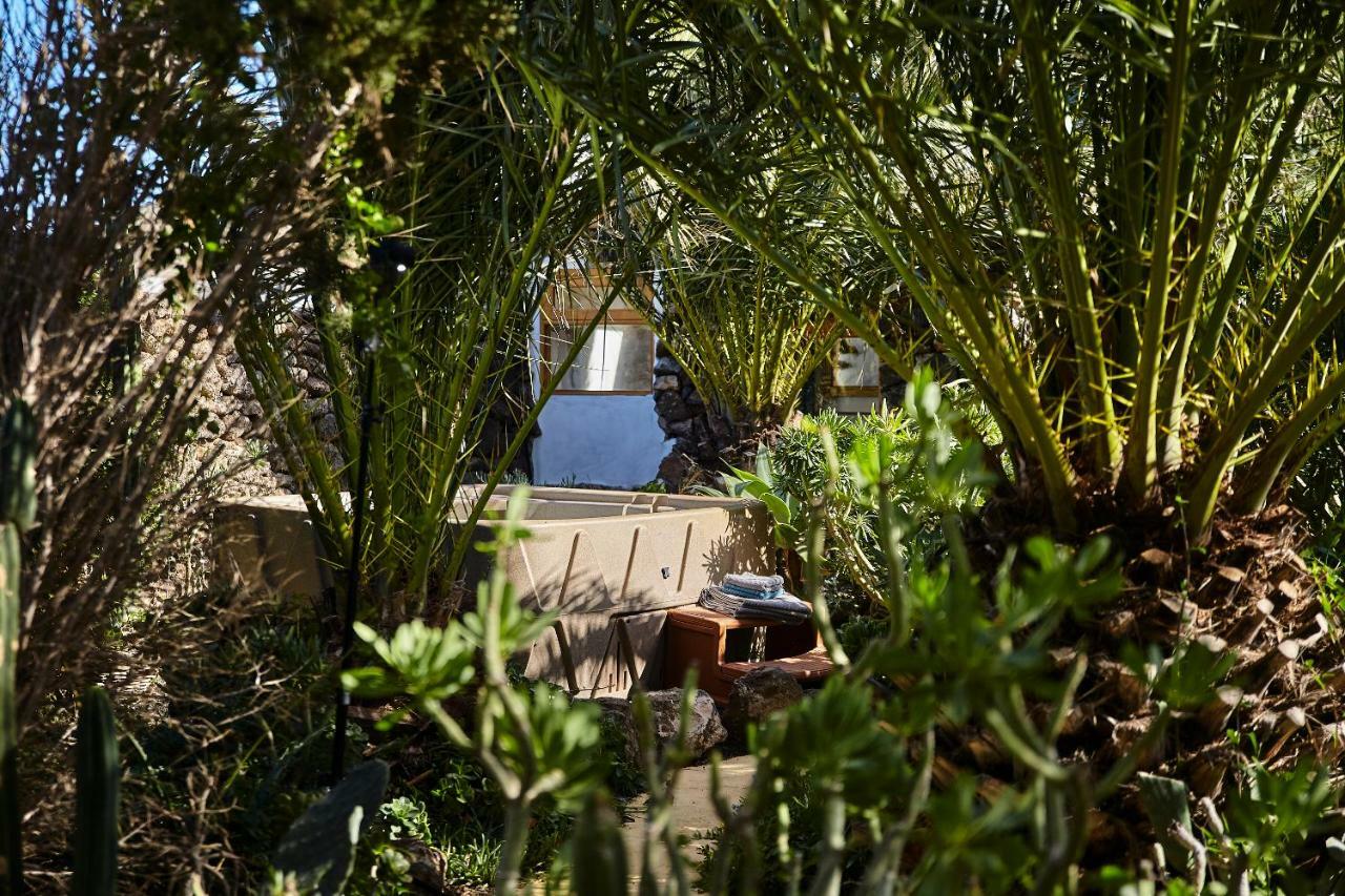Casa rural Palmeras Canarias *