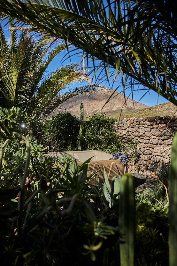 Palmeras Canarias Casa rural